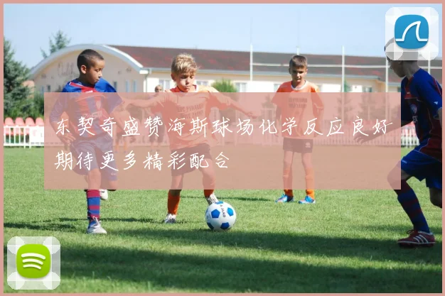 东契奇盛赞海斯球场化学反应良好期待更多精彩配合