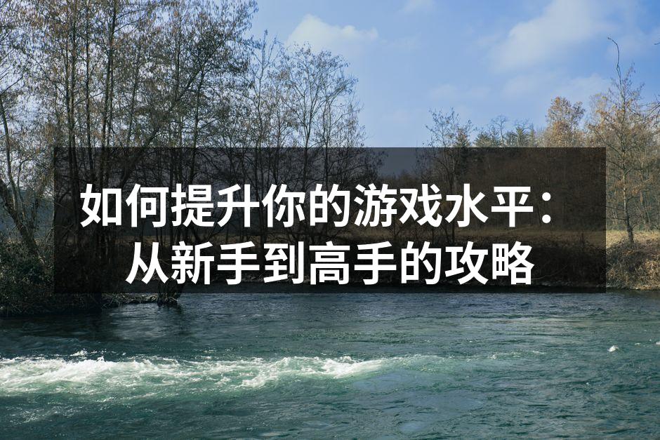 如何提升你的游戏水平:从新手到高手的攻略