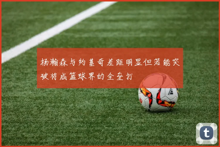 杨瀚森与约基奇差距明显但若能突破将成篮球界的全垒打